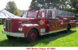 Milton Ladder 2 OLD.jpg (180354 bytes)