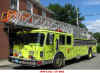 Newton Ladder 4 2008 OLD.jpg (256353 bytes)