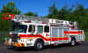 Rowley Ladder 1 2015.jpg (517234 bytes)