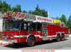 Stoneham Ladder 1 2011 OLD.jpg (293362 bytes)