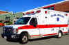 Village Ambulance Unit 3 2015.jpg (356171 bytes)