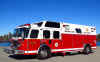 Webster Rescue 1 2015.jpg (283082 bytes)
